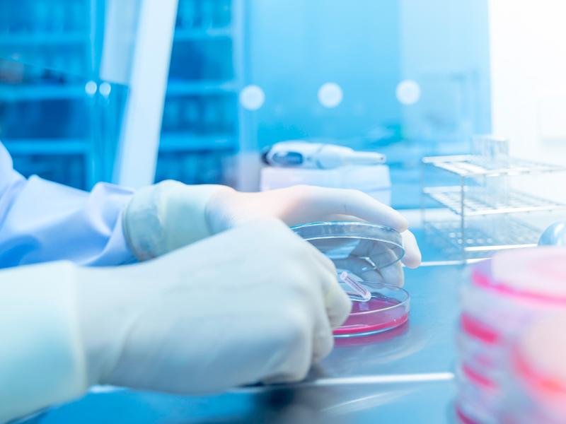 Navigating Federal, State and Local Government Responses Speciality Issue Hero