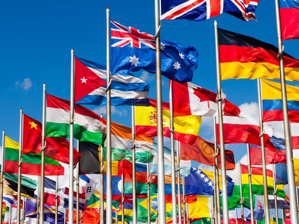 Multinational Insurance Co. Obtains Favorable Settlements