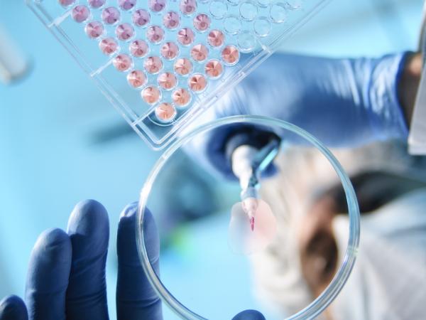 Representing Synlogic, Inc. from Inception to IPO