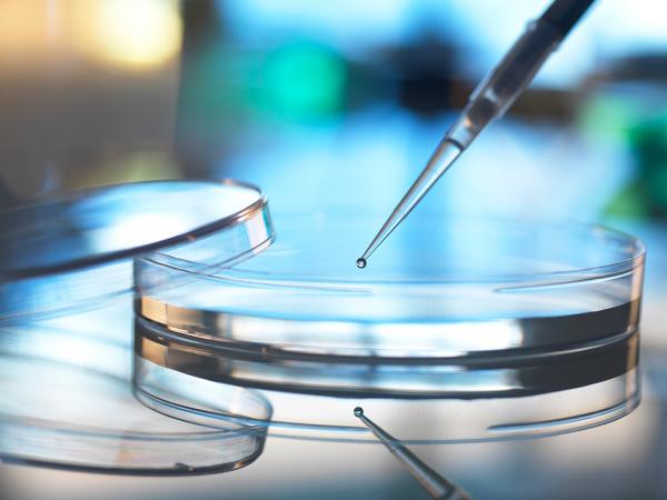 Mintz Secures Dismissal of Securities Fraud Claims Against Pharma Client