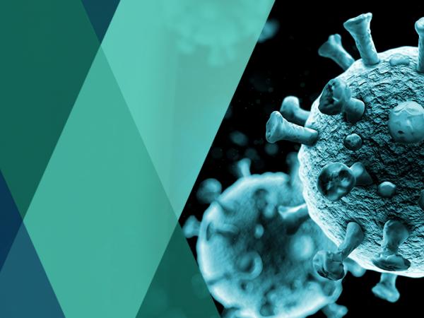 Employer Roadmap in the Time of 2019 Blog Button