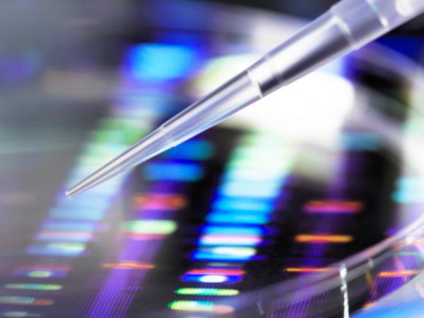 Mintz Guides a Diagnostics Company Through Governmental Inquiries and Subpoenas