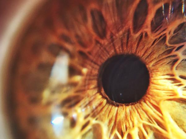 FDA Team Helps Novel Therapeutic Developer Obtain Orphan Drug Designation