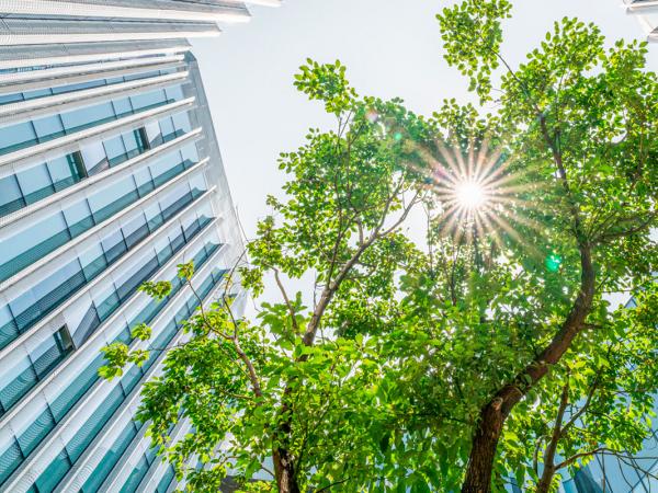 Mintz Advises Canaccord Genuity in $207M IPO of Sustainability-Focused SPAC, Environmental Impact Acquisition Corp.