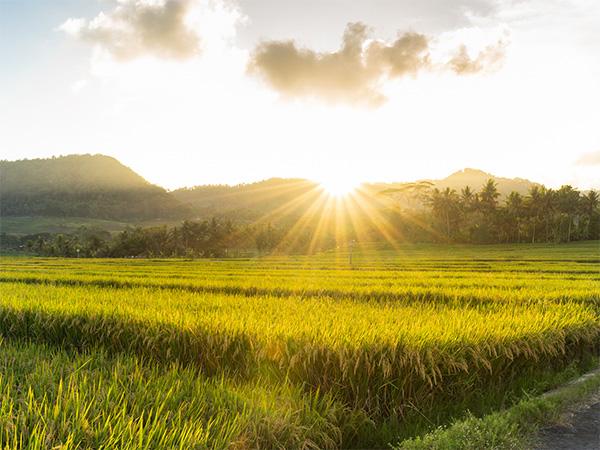 Mintz Advises Oppenheimer &amp; Co. and Initial Purchasers in $475M Convertible Senior Notes Offering by WisdomTree