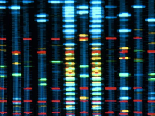 Mintz Advises on Fulcrum Therapeutics' $175 Million Public Offering