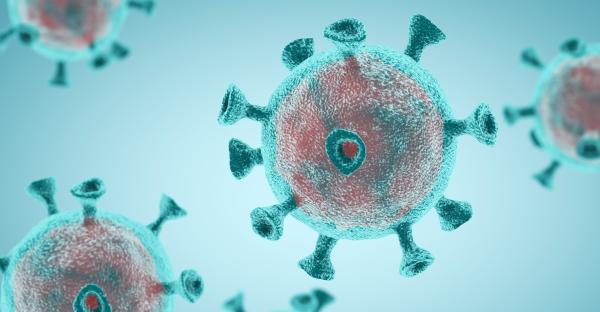 Coronavirus Molecule