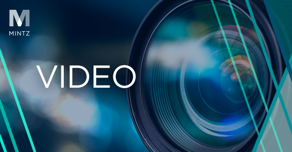 Video Viewpoint Thumbnail