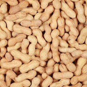 peanuts
